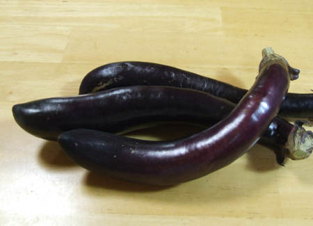 naganasu1.JPG