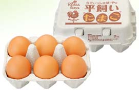 ttl_popular_egg_02.jpg