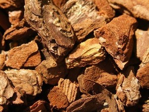 Bark chip.jpg