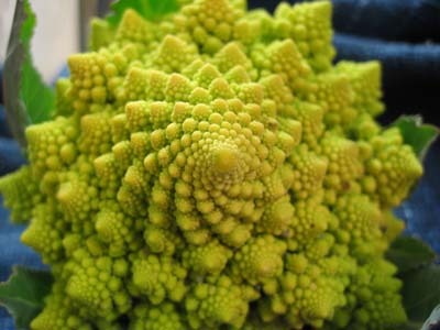 Cauliflower1 (3).jpg