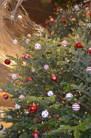 Christmas tree (1).jpg