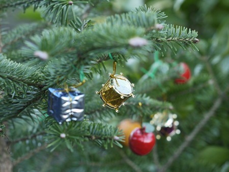 Christmas tree (3).jpg