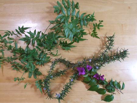 Christmas wreath (2).JPG