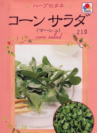 Cornsalad.jpg