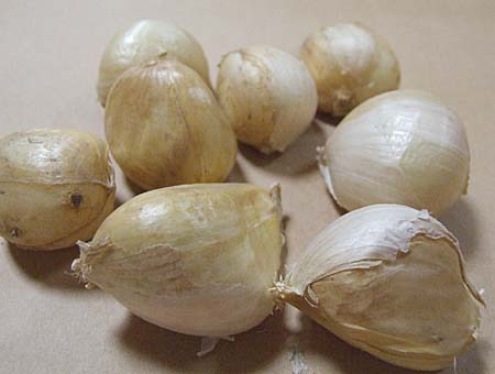 Jumboninniku.jpg
