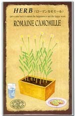 Roman chamomile.jpg