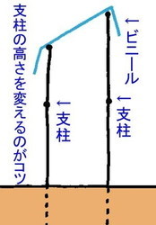 ameyokesiki (2).jpg