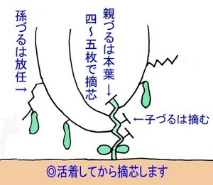 goyatekisin.jpg