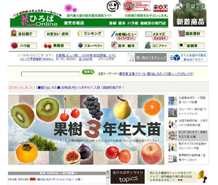 hanahirobaonline.jpg