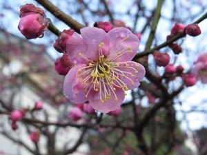 �E���̈�ĕ� 3��