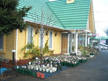 img38901443.jpg