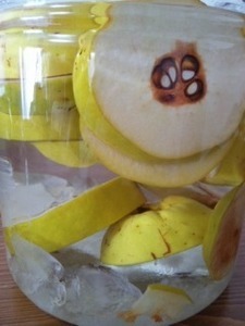 karinsyu-thumbnail2.jpg