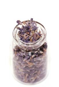 lavender (2).jpg