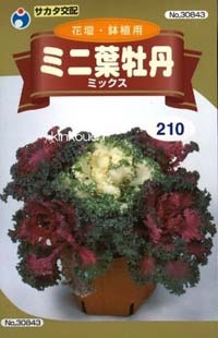 minihabotan (9).jpg