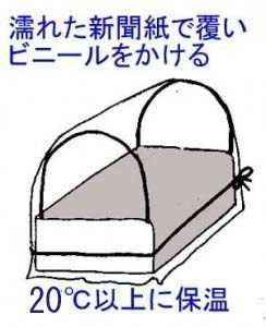 naedukuri.jpg