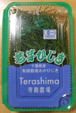 okahijiki (1).JPG