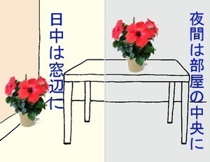 okibasyo-thumbnail2.jpg
