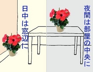 okibasyo.jpg