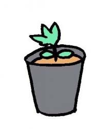 pot-209x300.jpg