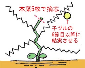 prince melon.jpg