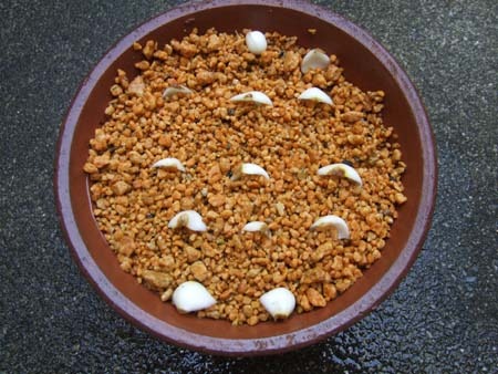 rinpen-1.jpg
