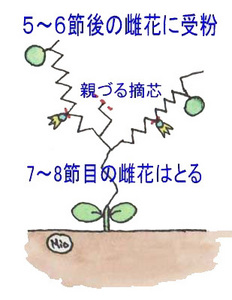 tekisin-jyuhun..jpg