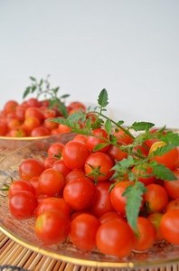 tomato02.jpg