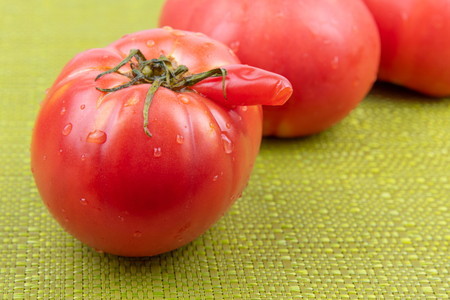tomato seirisyogai002.jpg