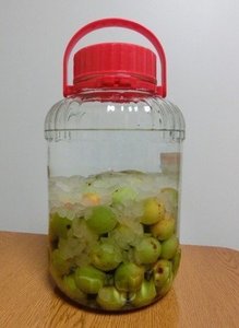 umesyu001.jpg