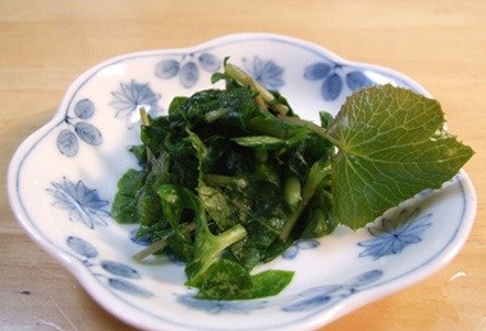 wasabi300.jpg