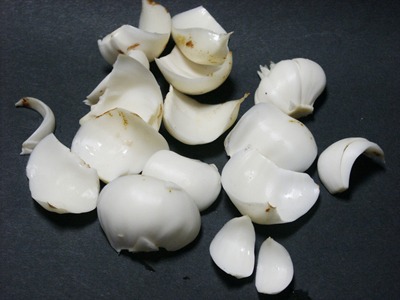 yurine (2).jpg