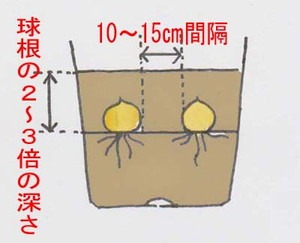yurine (1).jpg
