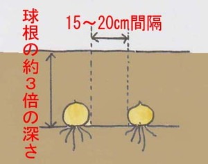 yurine (2).jpg